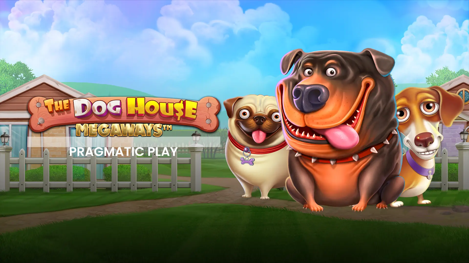 Dog house. Megaways